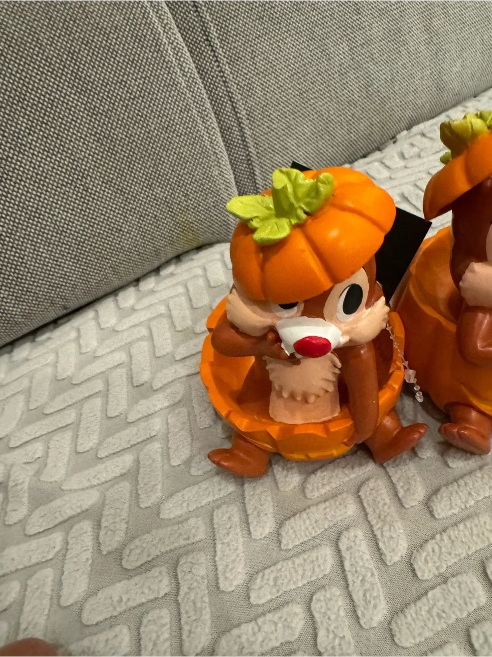 Celebrate Together™ Disney's Chip and Dale 5